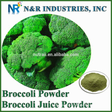 Pure Broccoli Powder from Broccoli Sprout 80mesh to 200mesh
